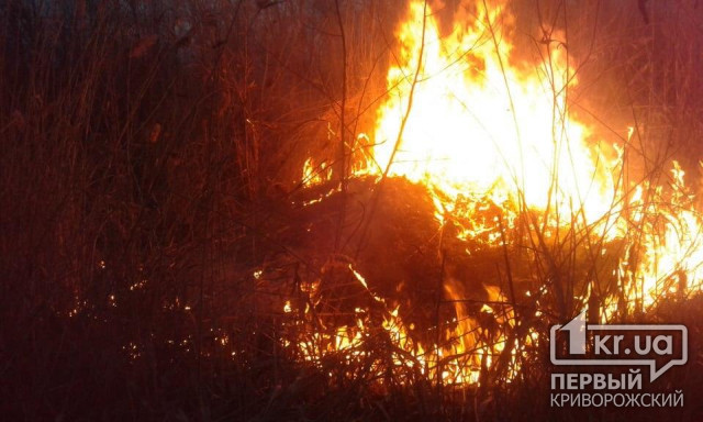 18 раз за сутки спасателям сообщали о горящей сухой траве в Кривом Роге и Криворожском районе