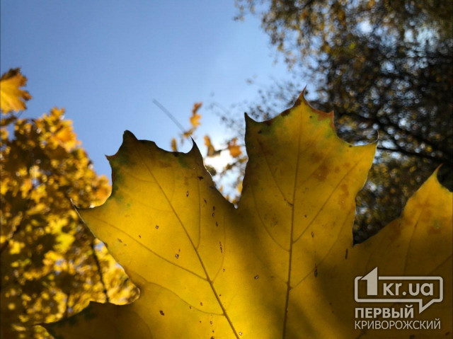 Какой будет погода в Кривом Роге 1 сентября