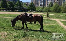 Фото новости