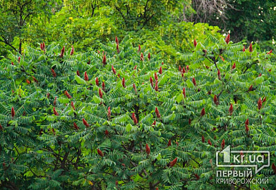 Фото к новости Главное фото новости