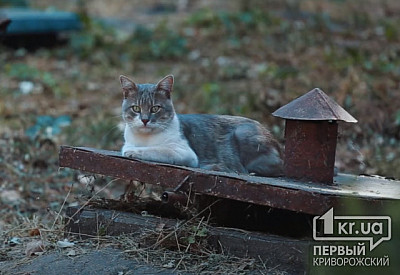 Фото к новости Главное фото новости