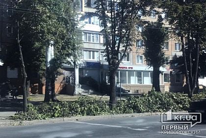 В центре Кривого Рога коммунальщики обрезают деревья