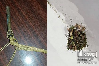 Взрыватель и коноплю изъяли правоохранители во время обыска дома криворожанина