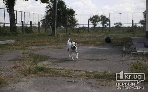 Главное фото новости