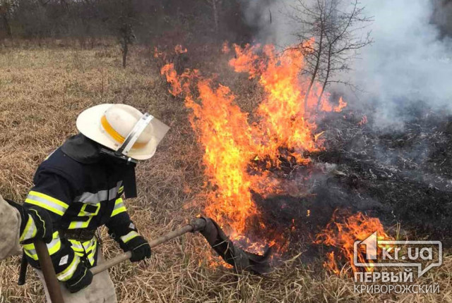 В Кривом Роге за прошедшие 24 часа зафиксировали 5 пожаров на открытых территориях и свалках
