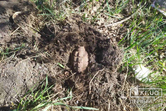 Мужчина, пасший скот в Криворожском районе, нашел гранату