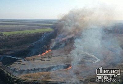 В Украине увеличили штрафы за сжигание травы и загрязнение атмосферного воздуха