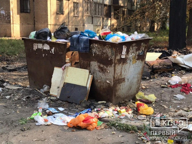 В Кривом Роге дезсредствами обработали сотни мусорников