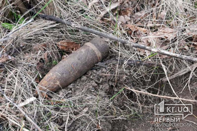 В Широковском районе мужчина пас скот и нашел артиллерийский снаряд