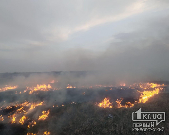 В Софиевском районе спасатели тушили пожар на открытой территории