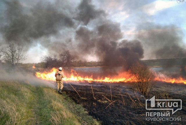 Спасатели тушили масштабный пожар на открытой территории в Широковском районе