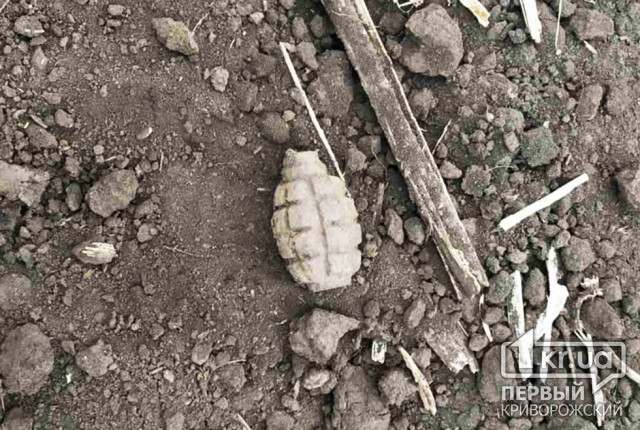 В Софиевском районе во время работ на поле люди нашли боеприпасы
