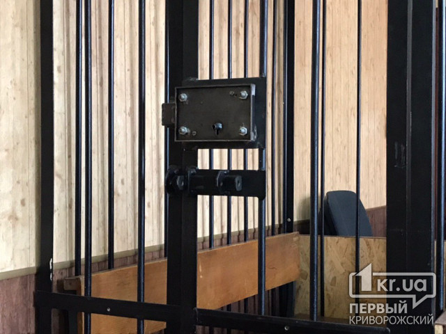 В Кривом Роге к 5 годам лишения свободы приговорили виновника смертельного ДТП