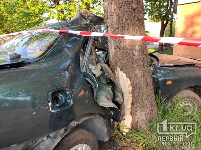 В Кривом Роге во время ДТП погиб водитель легковушки, которая врезалась в дерево