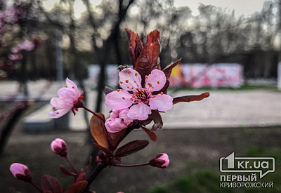 Фото к новости Главное фото новости