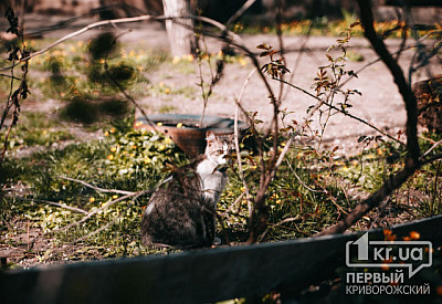 Фото к новости Главное фото новости