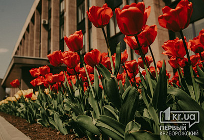 Фото к новости Главное фото новости