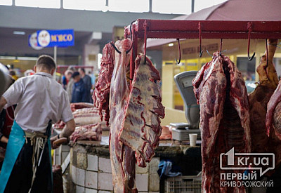 Фото к новости Главное фото новости