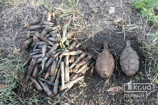 В Криворожском районе обнаружены гранаты и патроны