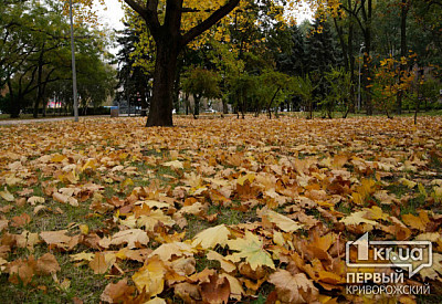 Фото к новости Главное фото новости