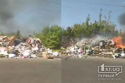 В Кривом Роге пылает стихийная свалка