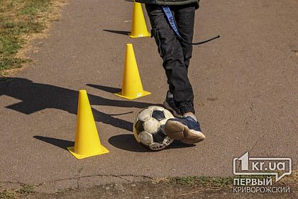 В криворожском лицее планируют отремонтировать футбольное поле