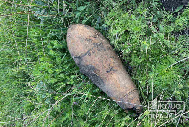 Криворожские копы нашли минометную мину во время патрулирования улицы