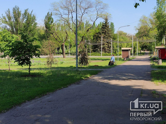 Украинцам разрешили прогуливаться по паркам большими компаниями, - решение Кабмина