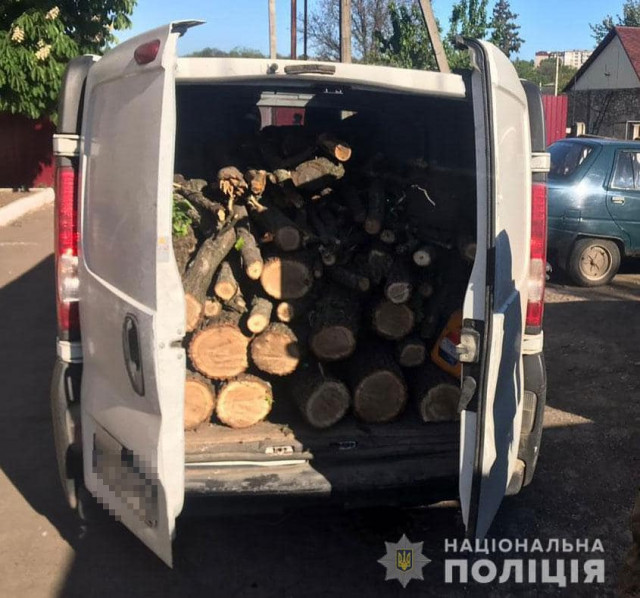 В Кривом Роге полицейские изъяли авто, в котором была незаконно срубленная древесина