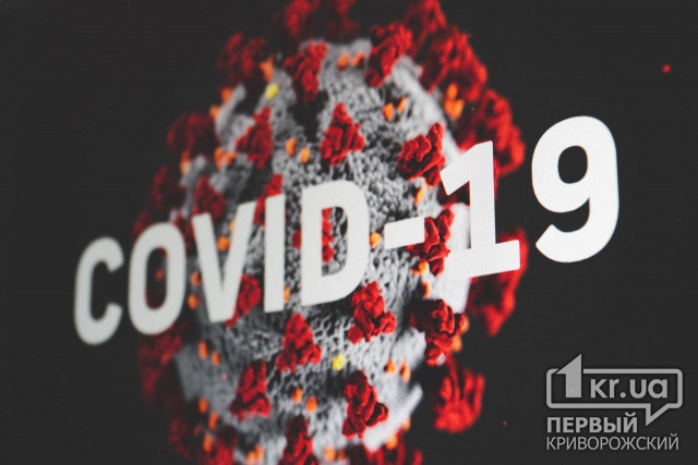 За 24 часа в Украине зафиксировали 528 новых случаев коронавируса