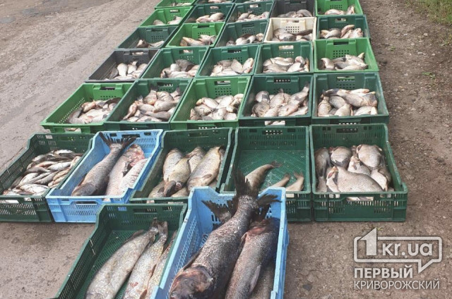 В Кривом Роге правоохранители и общественники изъяли почти тонну незаконно выловленной рыбы