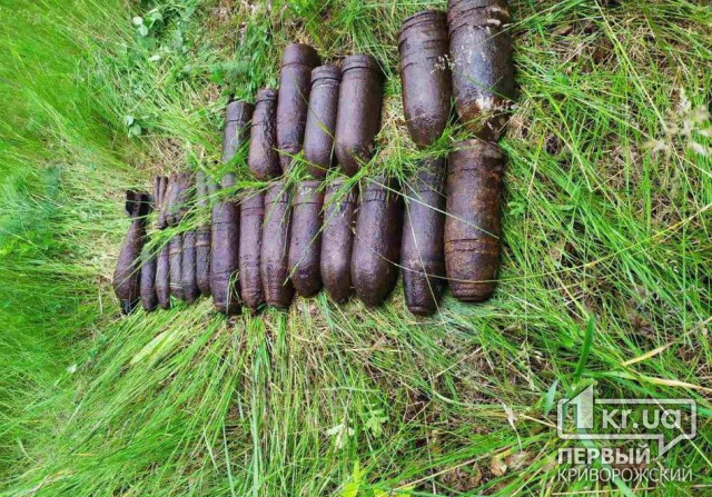В лесополосе под Кривым Рогом обнаружено 29 боеприпасов