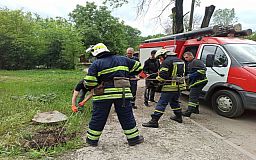 Спасатели в Кривом Роге развернули операцию, чтобы достать из колодца щенка