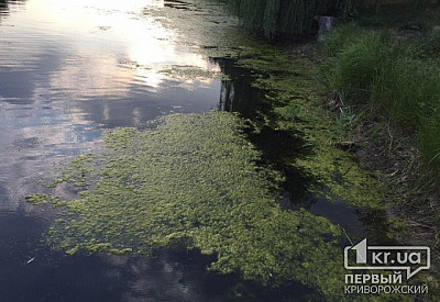 Фото к новости Главное фото новости