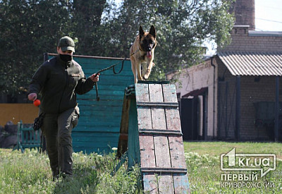 Фото к новости Главное фото новости