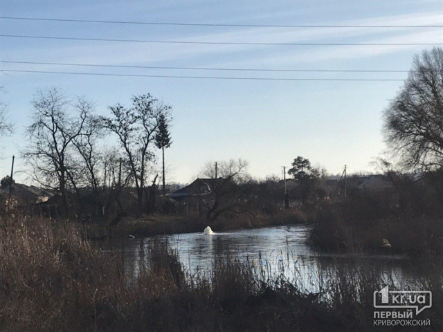 Криворожские коммунальщики ликвидировали масштабный порыв в реке Саксагань