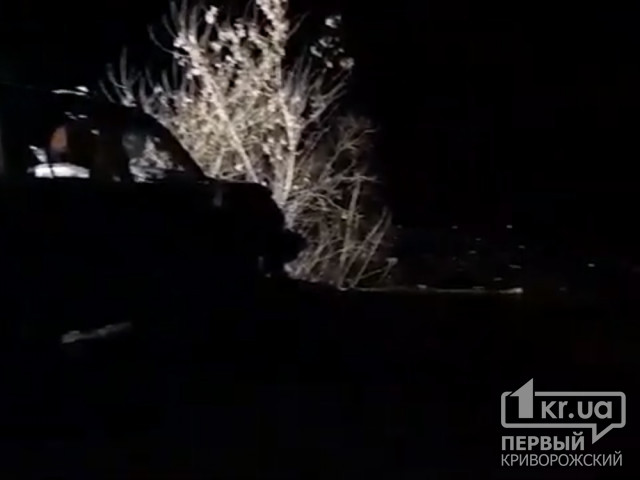 Трое взрослых и подросток погибли: в Пятихатском районе джип съехал в пруд