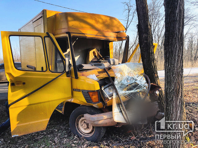 В Кривом Роге грузовой микроавтобус выехал на встречную и врезался в дерево