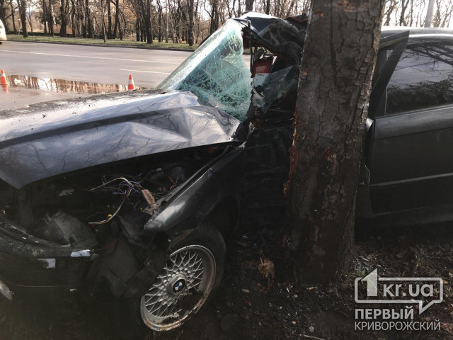 ДТП в Кривом Роге: BMW врезалось в дерево, пострадал водитель
