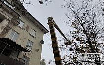 Фото новости