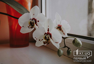 Фото к новости Главное фото новости