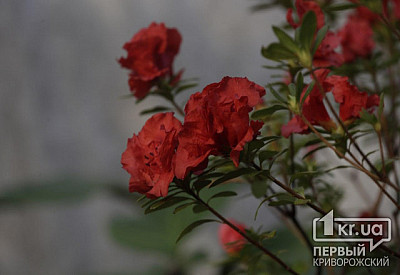 Фото к новости Главное фото новости