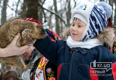 Фото к новости Главное фото новости