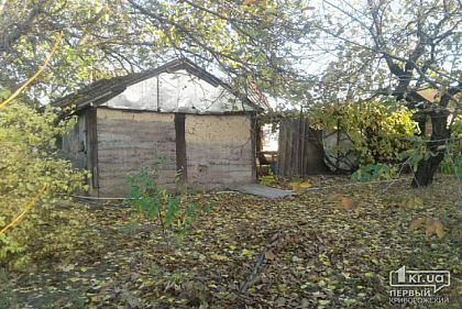 Полмиллиона гривен моральной компенсации потерпевшая требует с обвиняемого в серийных убийствах в Кривом Роге