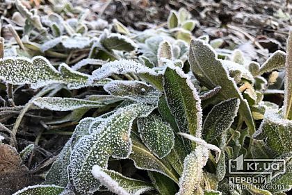 Прогноз погоды и гороскоп на 21 января для криворожан