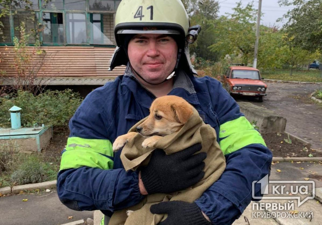 Пожарные спасли щенка, провалившегося в колодец
