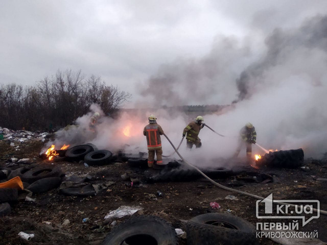 В Софиевском районе неизвестные устроили пожар на свалке
