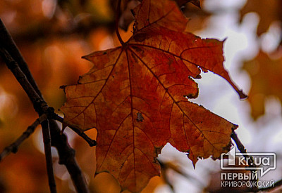 Фото к новости Главное фото новости