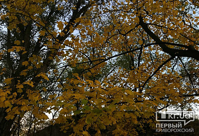 Фото к новости Главное фото новости
