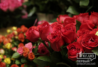 Фото к новости Главное фото новости